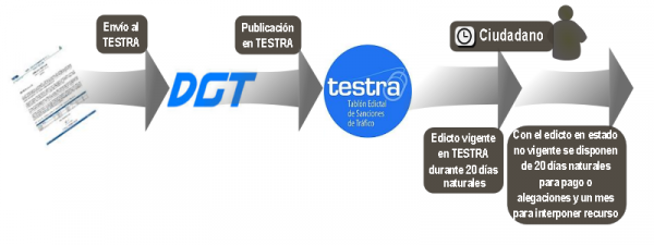 Gráfico DGT Testra